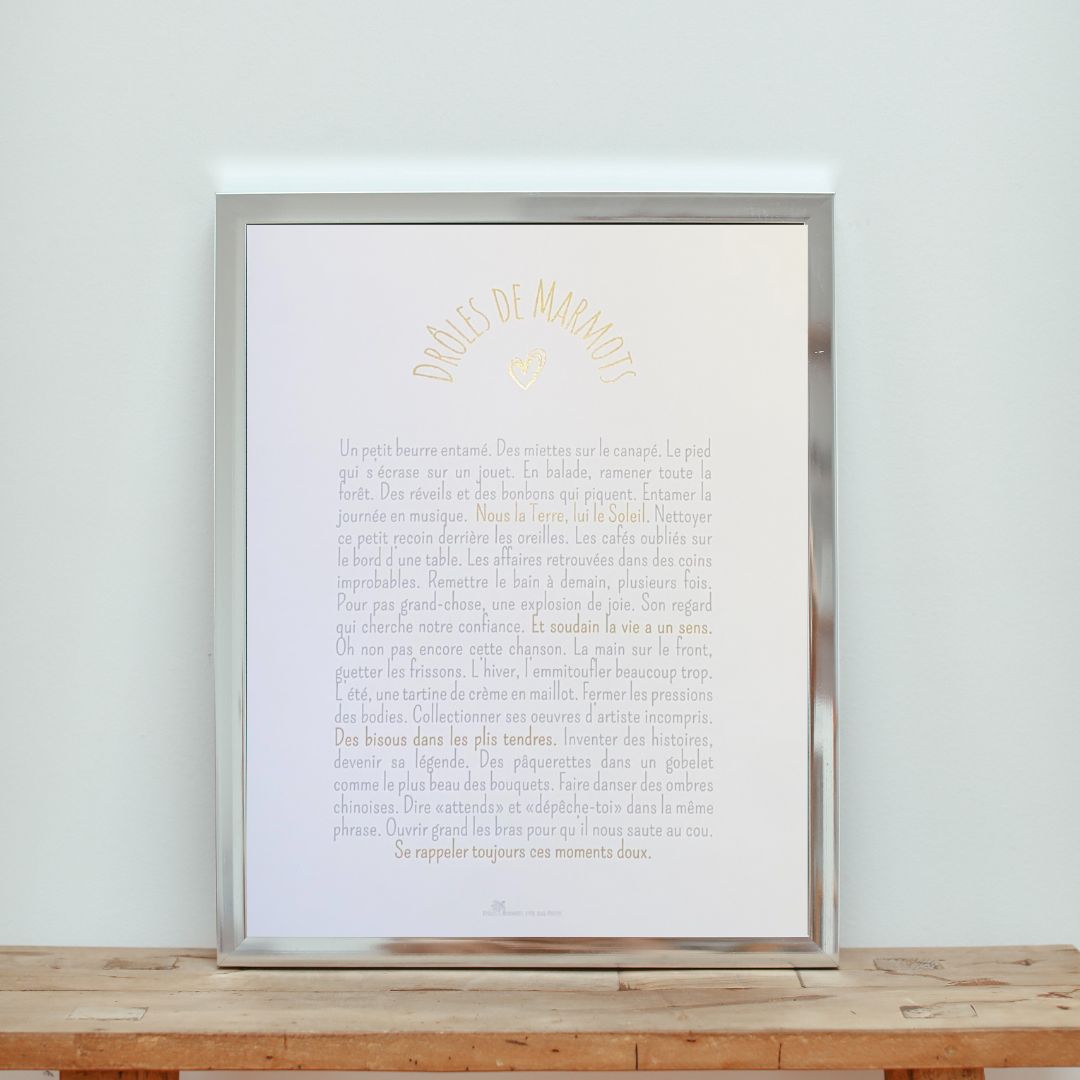 Poster Drôles de Marmots