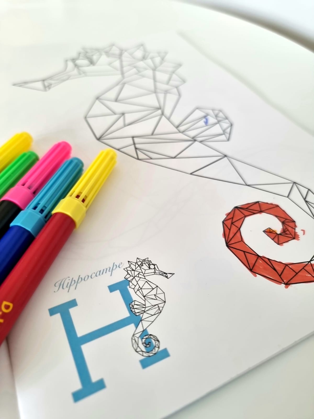 My ABCs of Animals to Color